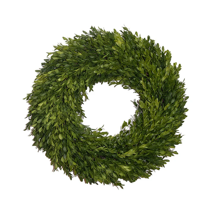 Fig & Dove 18" Round Boxwood Wreath