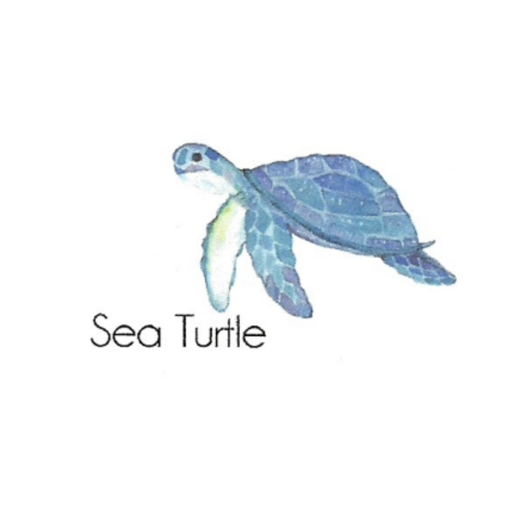 Watercolor Seas Stationery