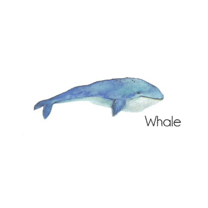 Watercolor Seas Stationery
