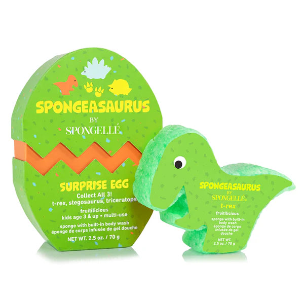 Dino Egg Sponges