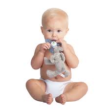 Nookums Teether